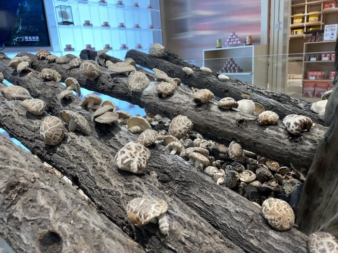 亚星管理平台(中国游)官方网站