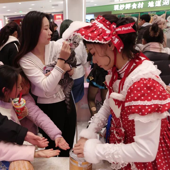 亚星管理平台(中国游)官方网站