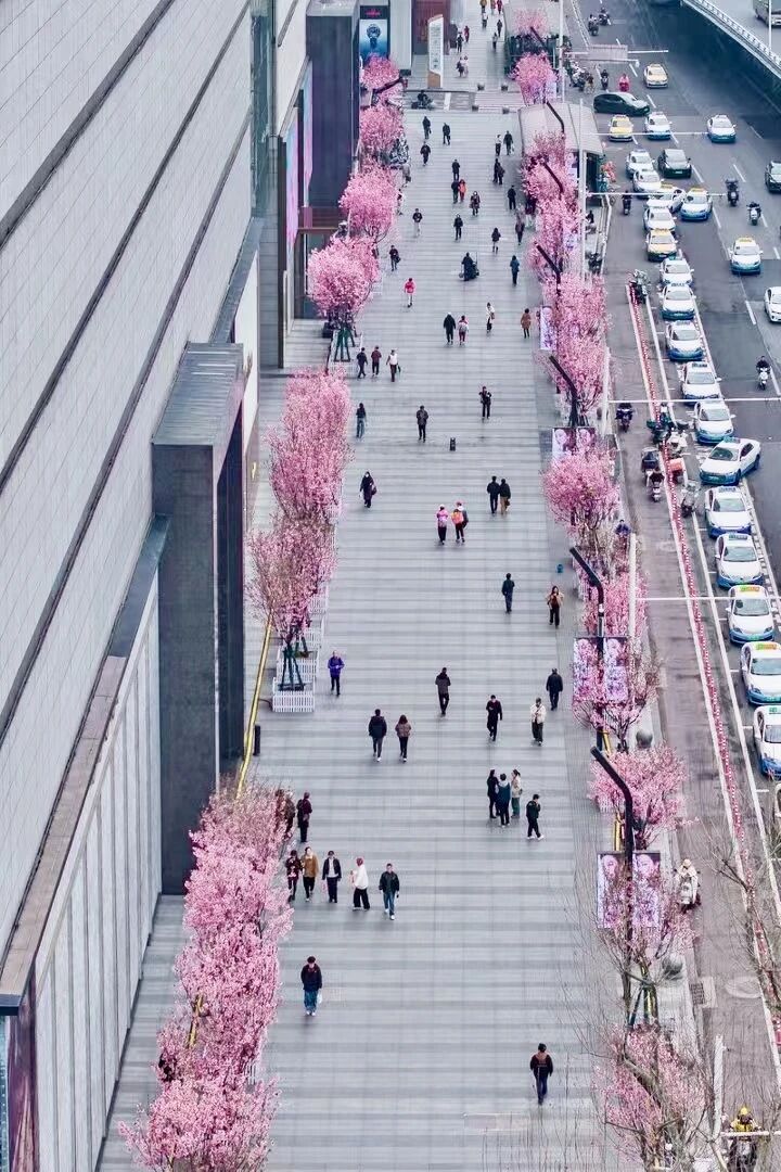 亚星管理平台(中国游)官方网站